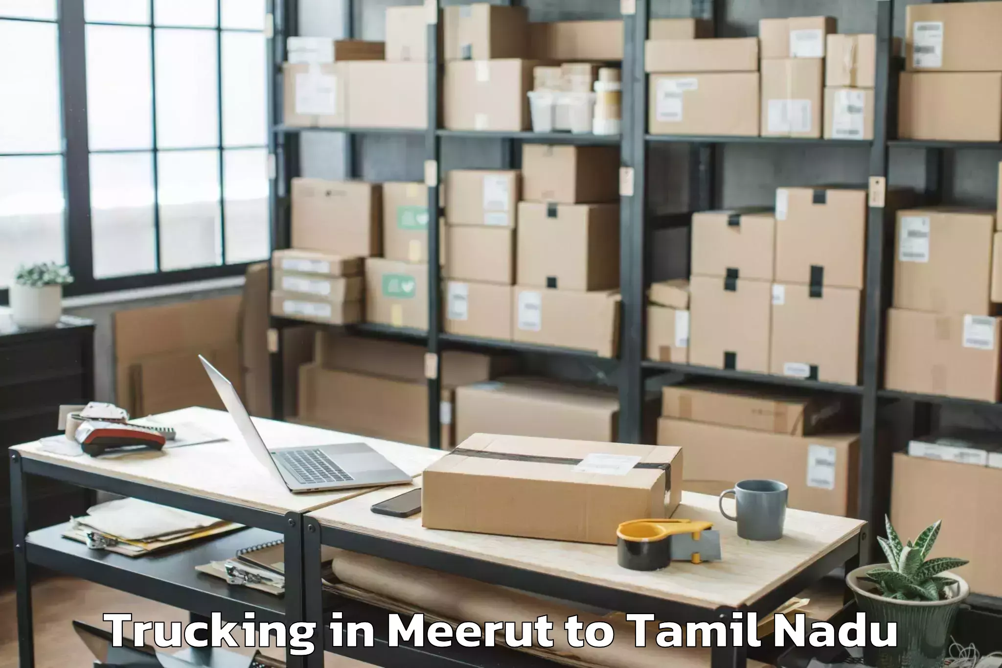 Top Meerut to Manappakkam Trucking Available